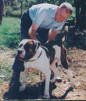 John D. Johnson with an American Bulldog