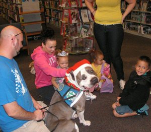 Therapy dog Pitbull with kids