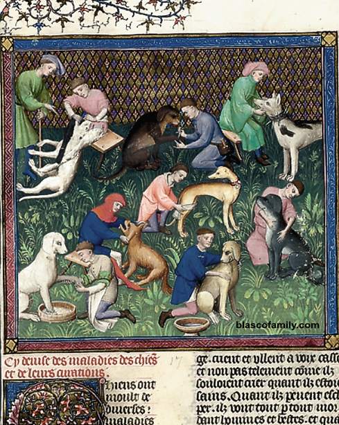 Medieval European dog husbandry